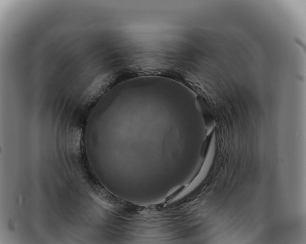 X0000096470742200801311533