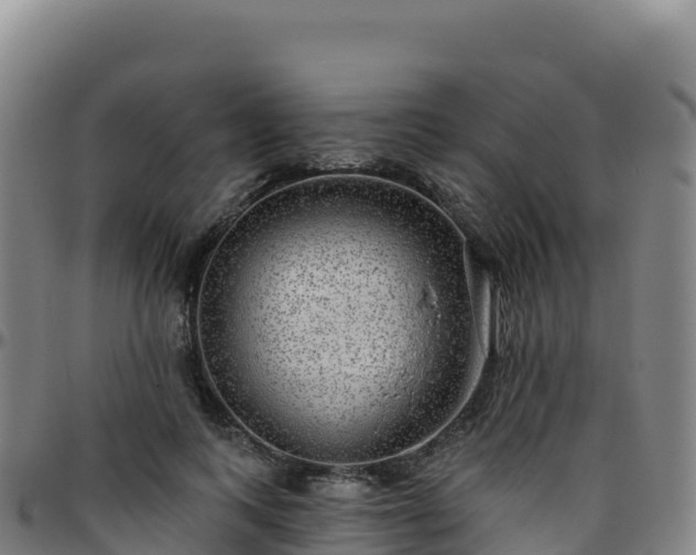 X0000096470743200801311533