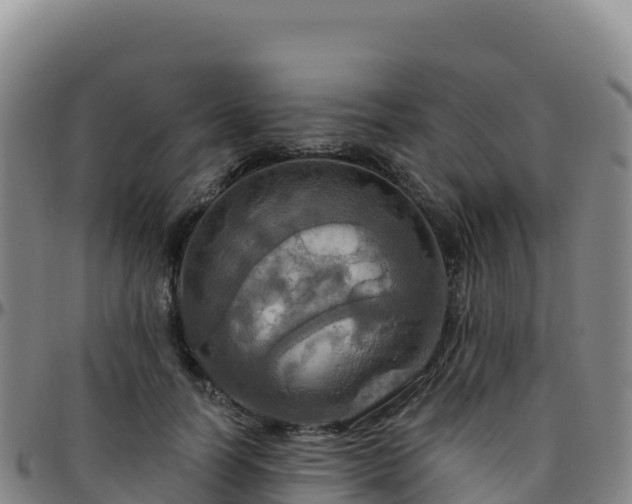 X0000096470746200801311533