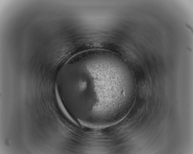 X0000096470747200801311534