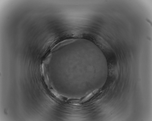 X0000096470748200801311534
