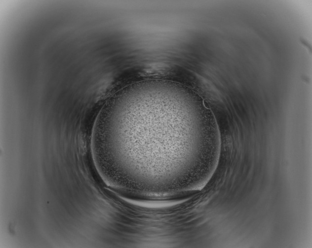 X0000096470751200801311534