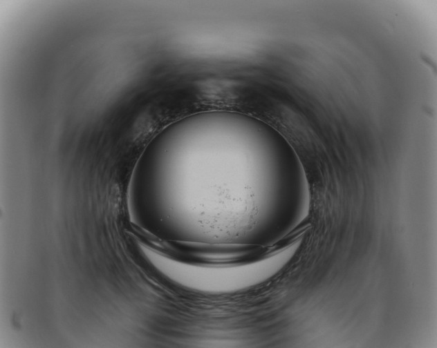 X0000096470752200801311534