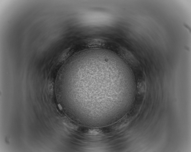 X0000096470753200801311534