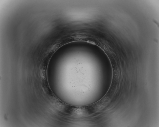 X0000096470755200801311534