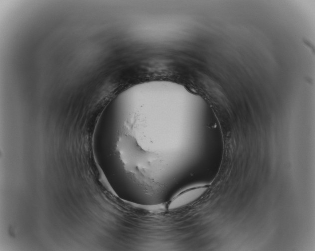 X0000096470756200801311534