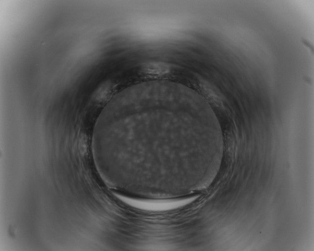 X0000096470758200801311534