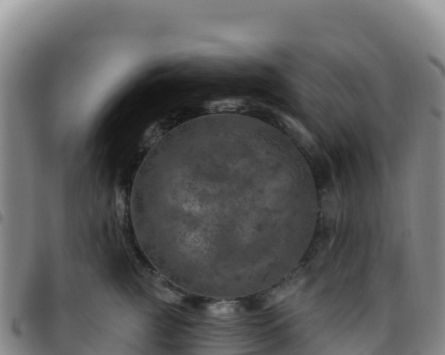 X0000096470761200801311534
