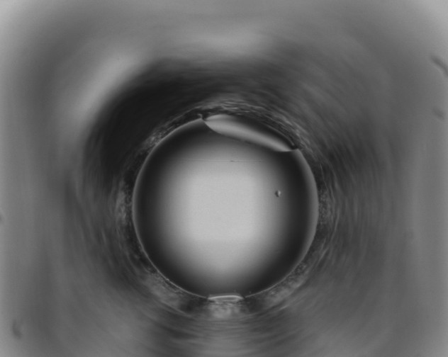 X0000096470762200801311534