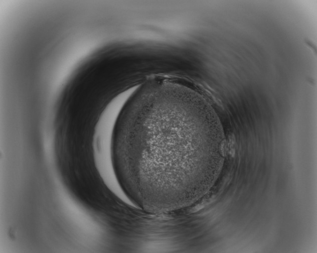 X0000096470763200801311534