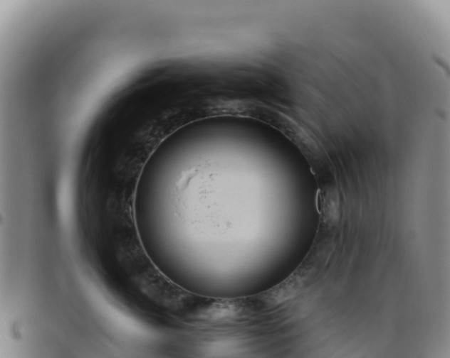 X0000096470764200801311534