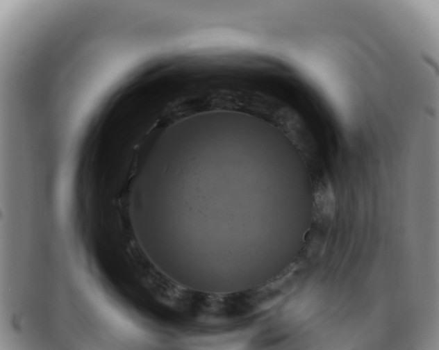 X0000096470765200801311534