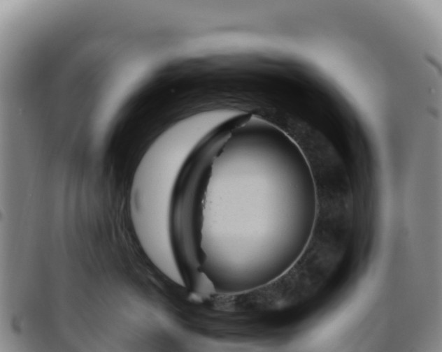 X0000096470766200801311534