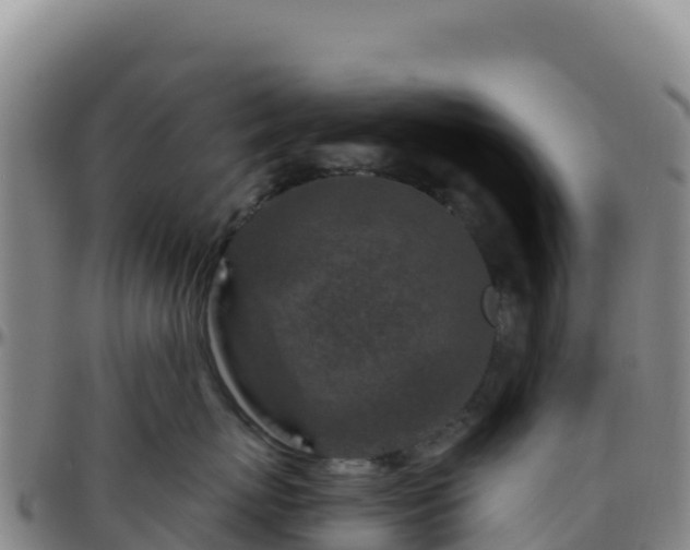 X0000096470767200801311534