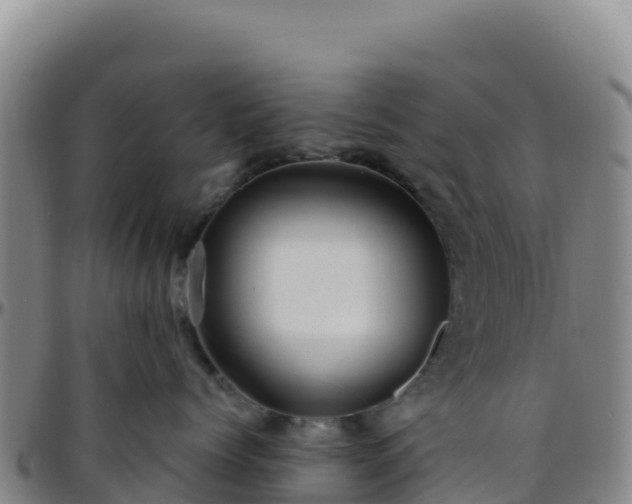 X0000096470768200801311534