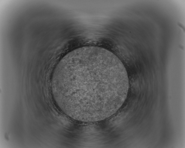 X0000096470769200801311533