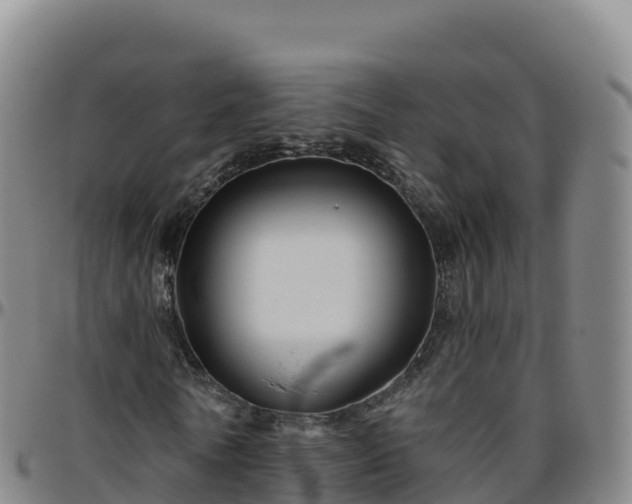 X0000096470770200801311533