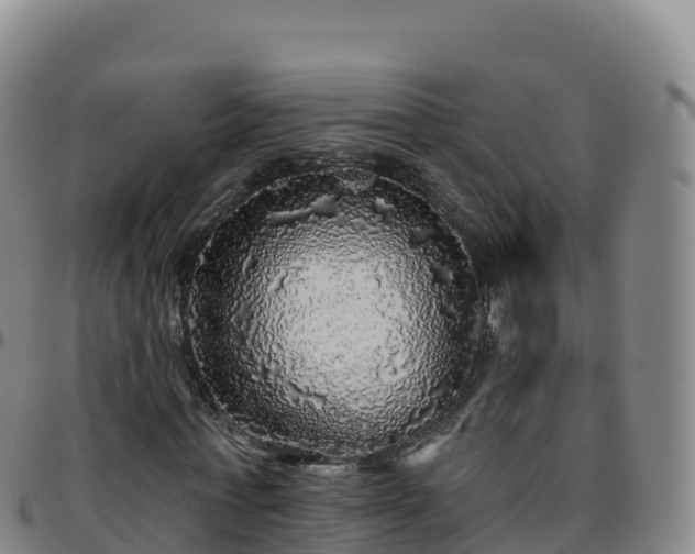 X0000096470771200801311533