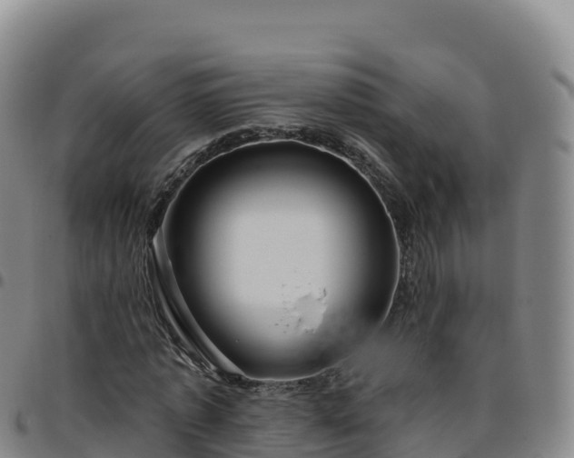 X0000096470773200801311533