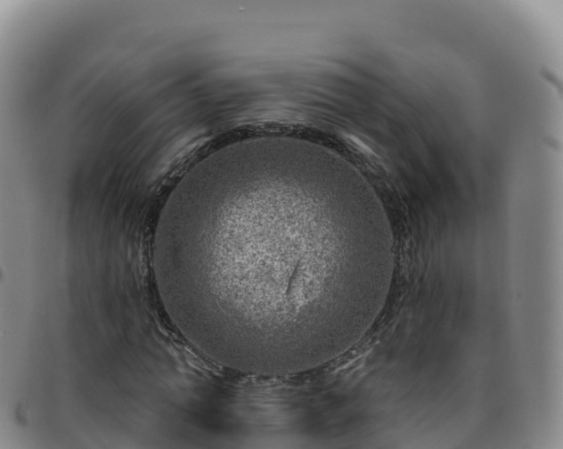 X0000096470774200801311533