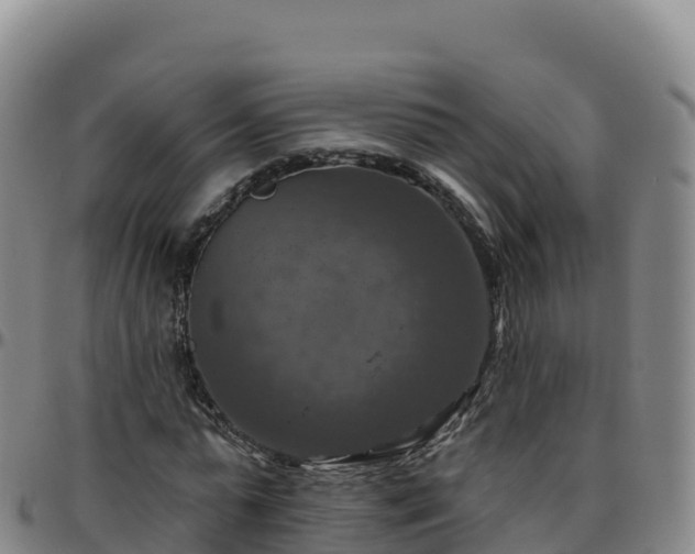 X0000096470775200801311533
