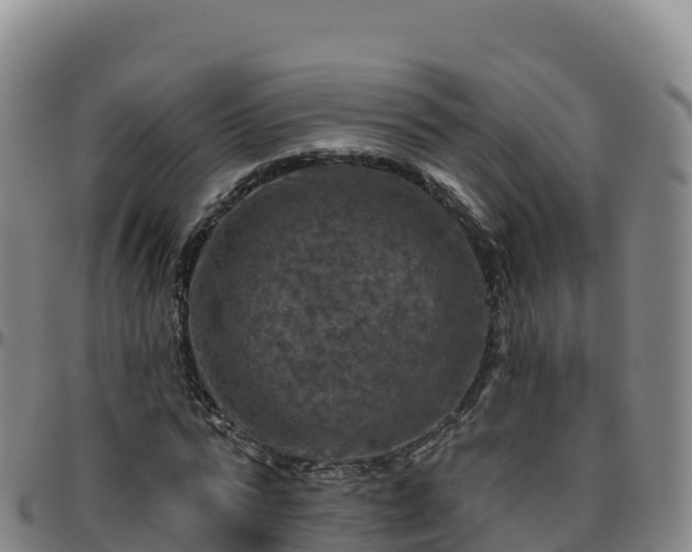 X0000096470776200801311533