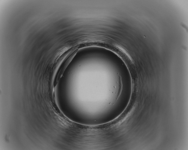 X0000096470777200801311533