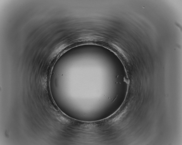X0000096470778200801311533