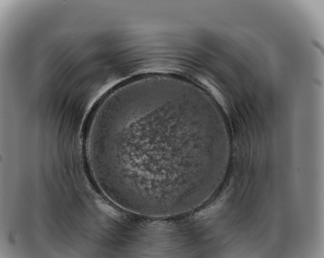 X0000096470779200801311533