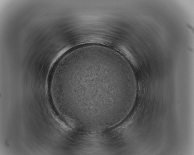 X0000096470780200801311533