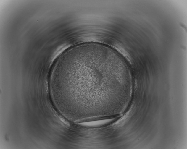 X0000096470782200801311533