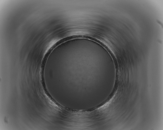 X0000096470783200801311533