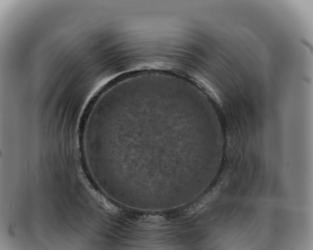 X0000096470784200801311533