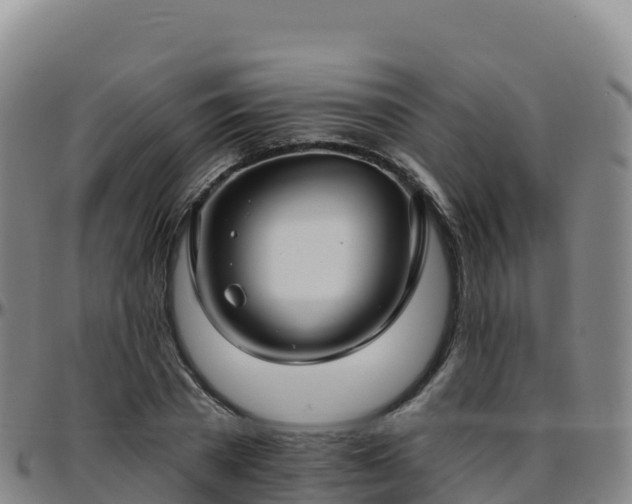 X0000096470785200801311533