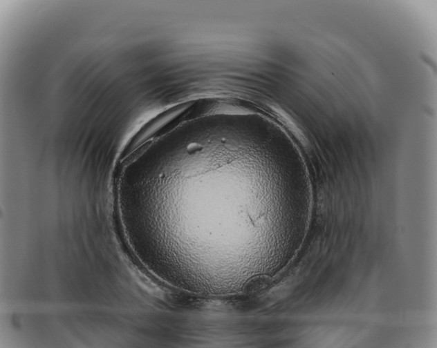 X0000096470787200801311533