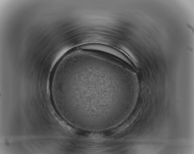 X0000096470788200801311533