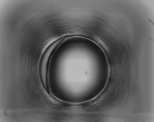 X0000096470789200801311533