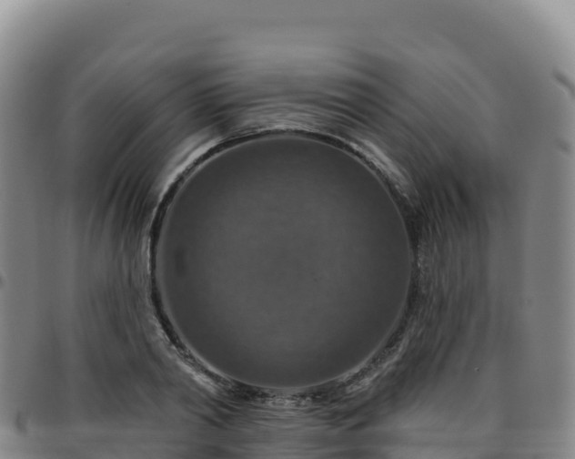 X0000096470790200801311533