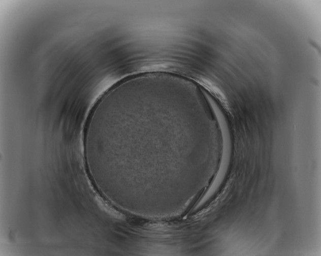 X0000096470792200801311533
