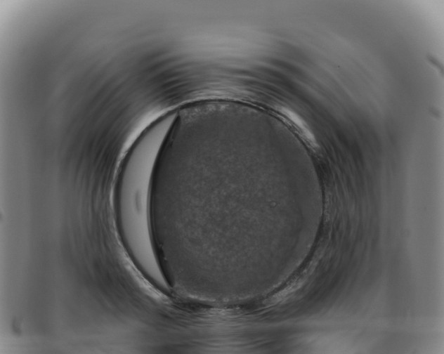 X0000096470796200801311533