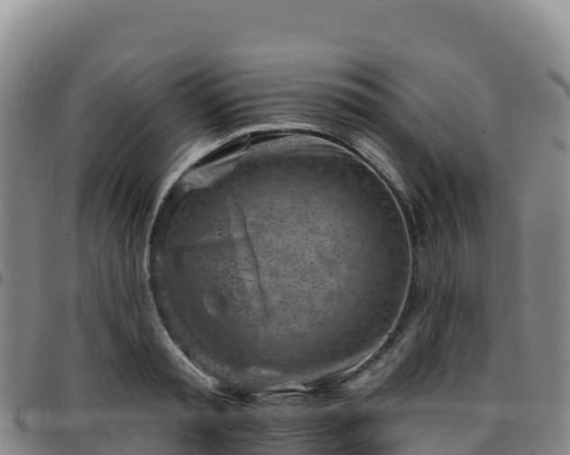 X0000096470797200801311533