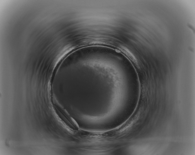 X0000096470798200801311533