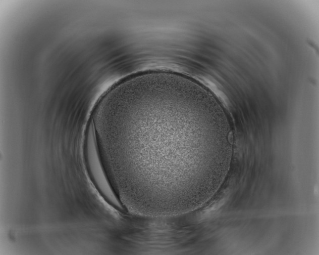 X0000096470799200801311533