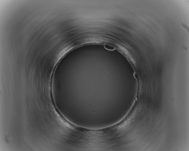 X0000096470802200801311533