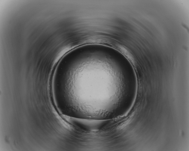 X0000096470803200801311533