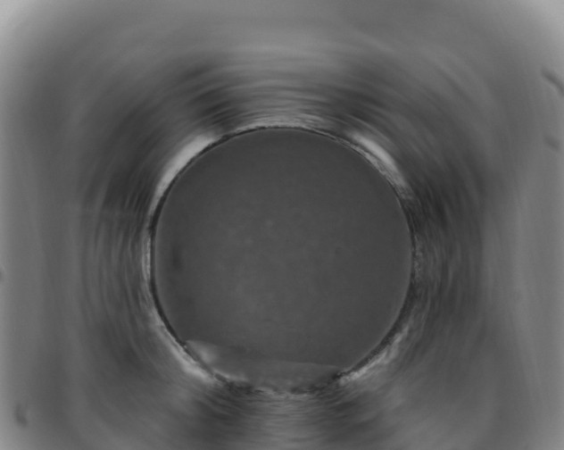 X0000096470804200801311533
