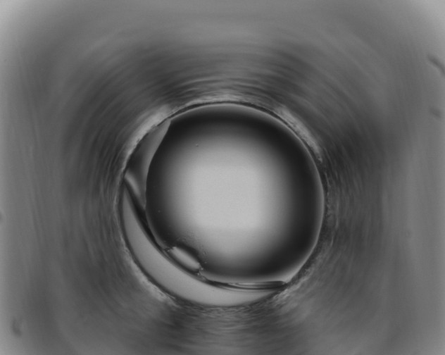 X0000096470805200801311533