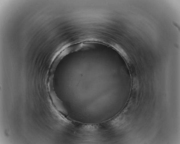 X0000096470806200801311533