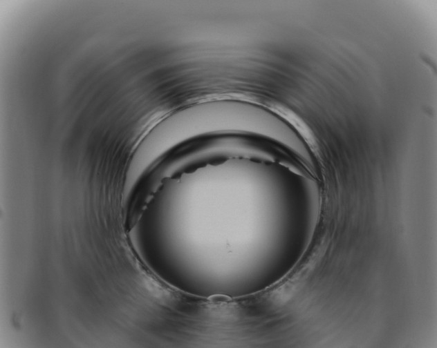 X0000096470809200801311533