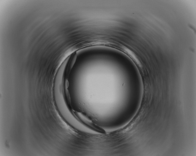 X0000096470810200801311533